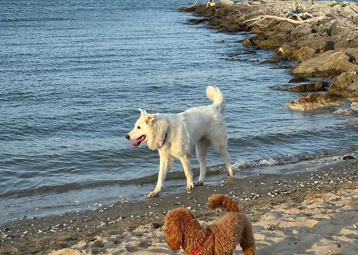 Village * Lido di Classe