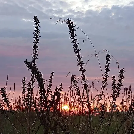 Village אתר קמפינג לידו די קלאסה