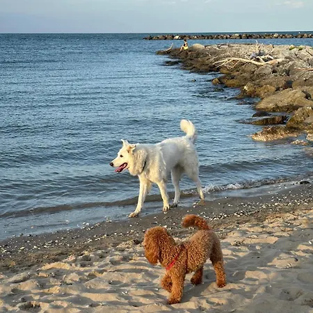 Village * לידו די קלאסה